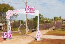 Declaran al distrito de La Paz como «Capital Nacional del Cerezo en Flor – Sakura»