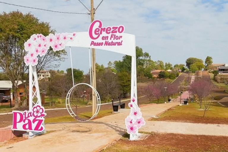 Declaran al distrito de La Paz como «Capital Nacional del Cerezo en Flor – Sakura»