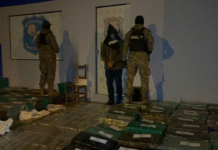 Incautan 2.815 kilos de marihuana y detienen al mayor acopiador en Saltos del Guairá