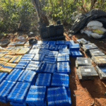 Senad desmantela megaestructura de procesamiento de marihuana en zona fronteriza