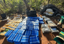 Senad desmantela megaestructura de procesamiento de marihuana en zona fronteriza