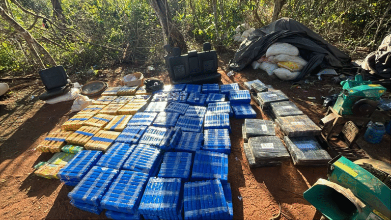 Senad desmantela megaestructura de procesamiento de marihuana en zona fronteriza