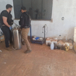 Hallan más de 1.300 kilos de marihuana en laboratorio narco