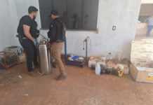 Hallan más de 1.300 kilos de marihuana en laboratorio narco