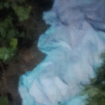 Cuerpo de niña asesinada en Caazapá será sometido a autopsia, confirma fiscal