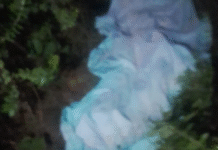 Cuerpo de niña asesinada en Caazapá será sometido a autopsia, confirma fiscal