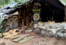 Causan perjuicio superior a USD 2 millones con eliminación de base logística narco en Amambay