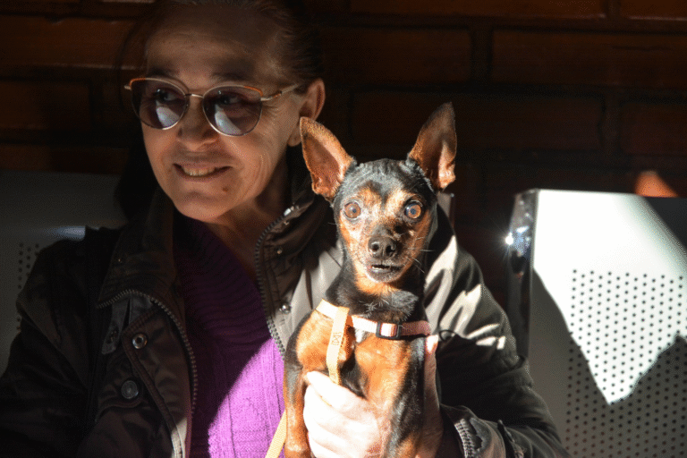 Hospital Veterinario de la FCV-UNA ofrece atención integral y accesible para mascotas