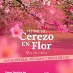 GRAN FESTIVAL NACIONAL ARTÍSTICO Y GASTRONÓMICO DEL CEREZO EN FLOR