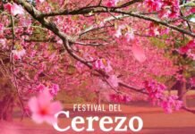 GRAN FESTIVAL NACIONAL ARTÍSTICO Y GASTRONÓMICO DEL CEREZO EN FLOR