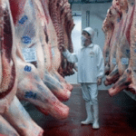 Panamá da habilitación y se abre un nuevo mercado para la carne paraguaya