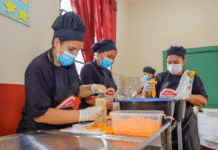 Paraguay alcanza récord histórico de empleos formales con más de 98.000 nuevos registros en menos de dos años