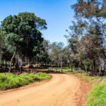 Artigas, Itapúa: vegetación y aventura en el corazón del Rally del Paraguay