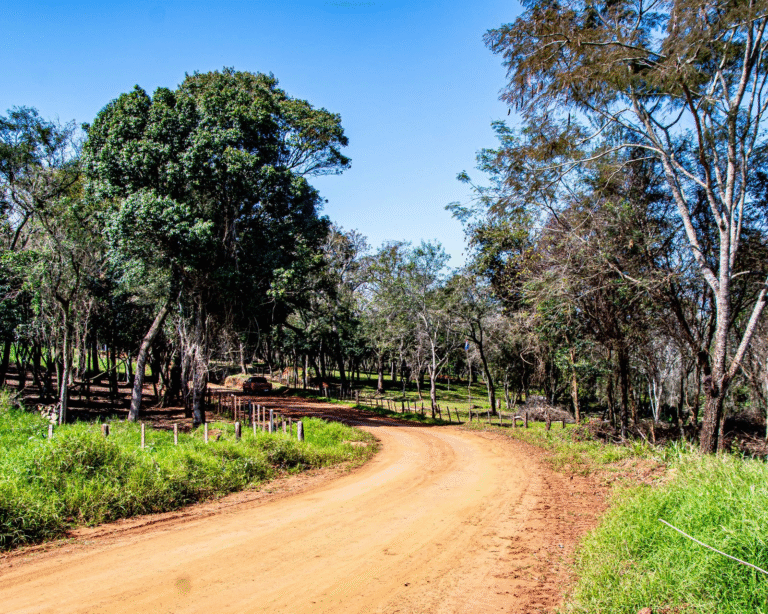 Artigas, Itapúa: vegetación y aventura en el corazón del Rally del Paraguay