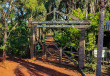 Camping: una alternativa para disfrutar del Rally del Paraguay en contacto con la naturaleza