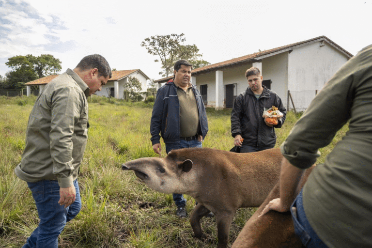 EBY e Itaipú intercambian especies silvestres para mejorar la genética y asegurar la preservación