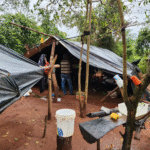Senad desmantela plantación de marihuana y campamentos narcos en San Pedro