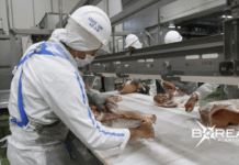 Carne paraguaya a Filipinas: incluye productos de origen bovino, porcino y aviar