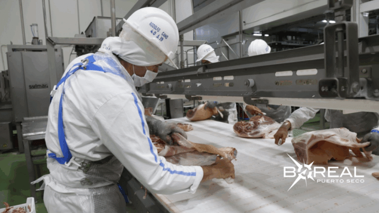 Carne paraguaya a Filipinas: incluye productos de origen bovino, porcino y aviar Carne paraguaya a Filipinas: incluye productos de origen bovino, porcino y aviar
