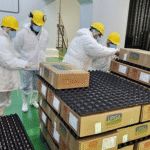 Técnicos de Perú inspeccionan frigoríficos de Itapúa para la apertura a la exportación de carne porcina