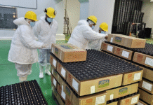 Técnicos de Perú inspeccionan frigoríficos de Itapúa para la apertura a la exportación de carne porcina