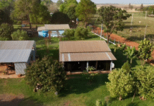 Desmantelan estructura criminal y decomisan más de 3 toneladas de marihuana en Alto Paraná