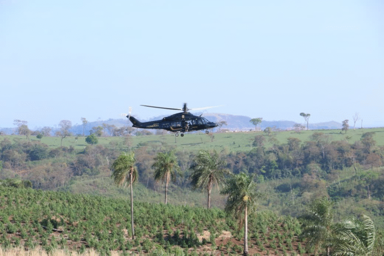 «Nueva Alianza 52» concluyó con golpe de US$ 130 millones al narcotráfico fronterizo entre Brasil y Paraguay
