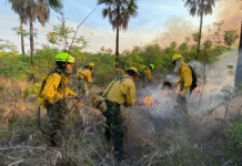 Intensifican cooperación interinstitucional contra incendio que afecta unas 10.000 has del Chaco