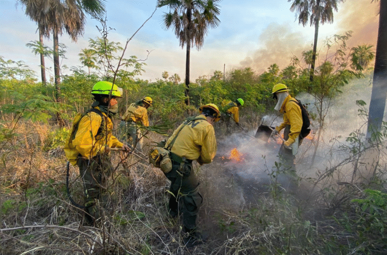 Intensifican cooperación interinstitucional contra incendio que afecta unas 10.000 has del Chaco Intensifican cooperación interinstitucional contra incendio que afecta unas 10.000 has del Chaco