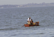 Durante la veda pesquera, más de 7 mil pescadores recibirán el subsidio