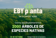 ¡Jornada de Plantación con la Entidad Binacional Yacyretá!