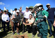 Yacyretá encabeza arborización en sector de la Costanera de Asunción