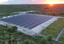 Proyecto solar de la ANDE obtiene primer puesto del Premio Cier de Innovación 2025