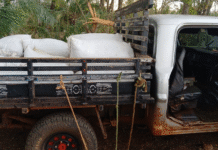 Abandonan vehículo con más de una tonelada de marihuana en Pedro Juan Caballero