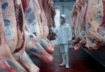 Exportación de productos de origen animal alcanzan los US$ 2.000 millones al cierre de septiembre