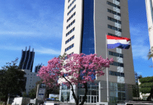 Paraguay cerraría el 2025 como la segunda economía con mayor crecimiento en la región