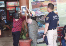 Confirman que adolescente inventó rapto para encuentro de novios de 15 años