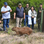 Yacyretá inicia histórica reinserción a su hábitat natural de animales silvestres nacidos en cautiverio