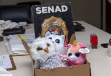 Senad detecta tres encomiendas con marihuana de alta potencia procedentes de EE.UU.