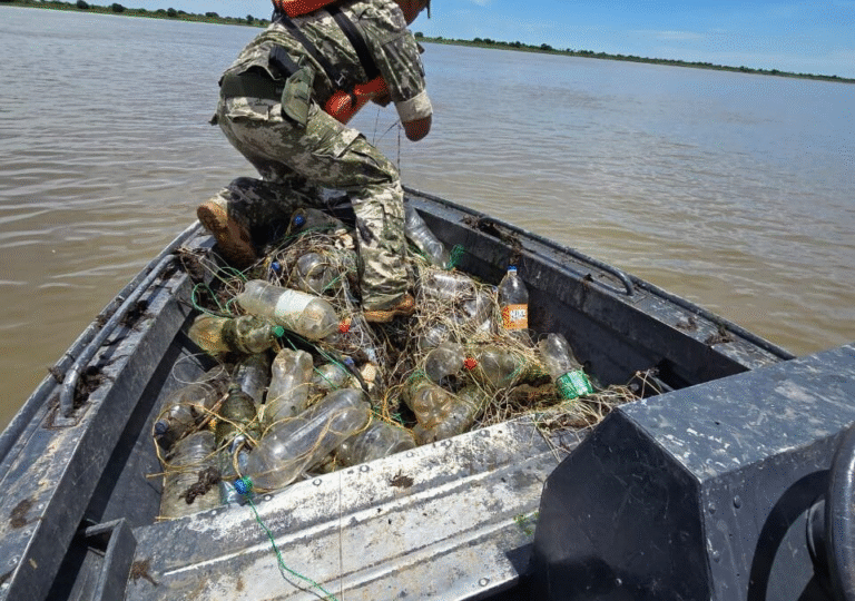 Mades retiró unos 4.500 metros de espineles en operativos en los ríos Paraguay y Paraná Mades retiró unos 4.500 metros de espineles en operativos en los ríos Paraguay y Paraná