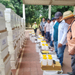 Apicultores de Cerrito y Laureles reciben apoyo de la EBY
