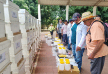 Apicultores de Cerrito y Laureles reciben apoyo de la EBY