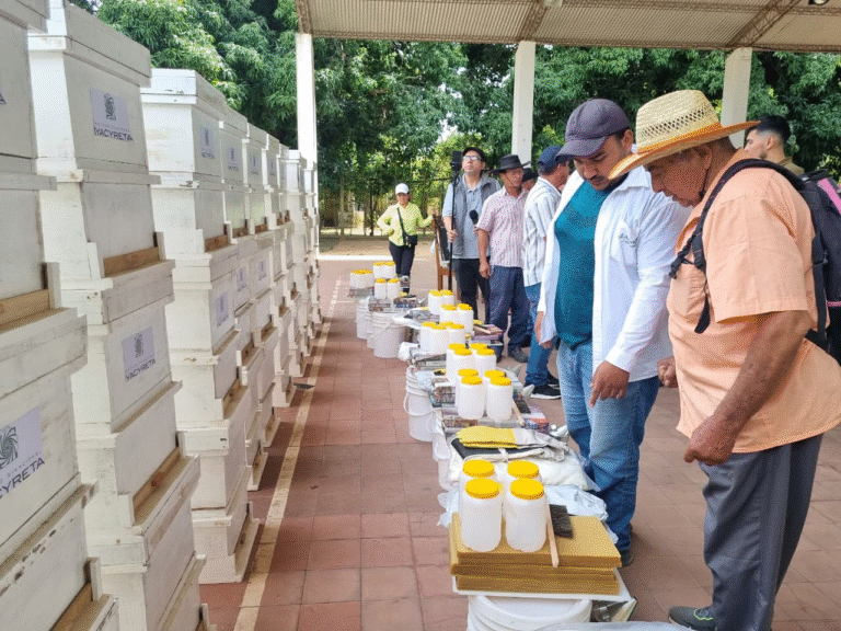 Apicultores de Cerrito y Laureles reciben apoyo de la EBY