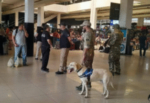 Operativos antidrogas y de seguridad en la Terminal de Ómnibus durante la final de copa