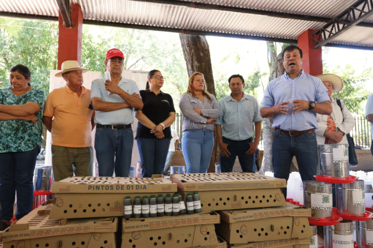 Productores avícolas de 16 distritos de Ñeembucú recibieron asistencia Productores avícolas de 16 distritos de Ñeembucú recibieron asistencia