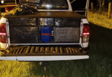 Fuerte golpe al narcotráfico: incautación de marihuana transportada en convoy de 19 vehículos en Canindeyú