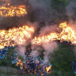 Golpe al crimen organizado con más de USD 13 millones en drogas incineradas