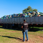 Récord de decomiso de marihuana llega a casi 90.000 kilos, con un valor que supera los USD 13 millones