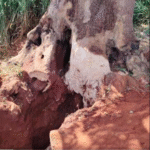 La Fiscalía investiga un misterioso túnel hallado en una estancia de San Pedro