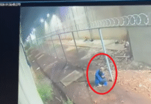 Dos internos se fugan de la penitenciaría de Minga Guazú